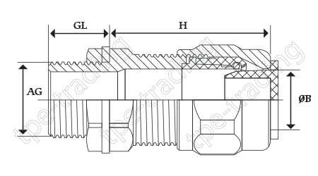 SH-BDM-1 Specification